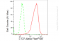 KD-Validated Anti-CTCF Rabbit Monoclonal Antibody